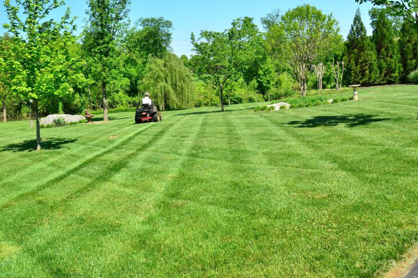 Mowing down the competition.