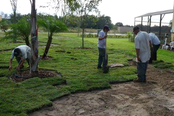 Your full-service lawn care company.